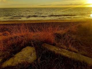 Playa Piedras 13